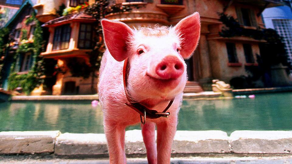 Schweinchen Babe in der großen Stadt