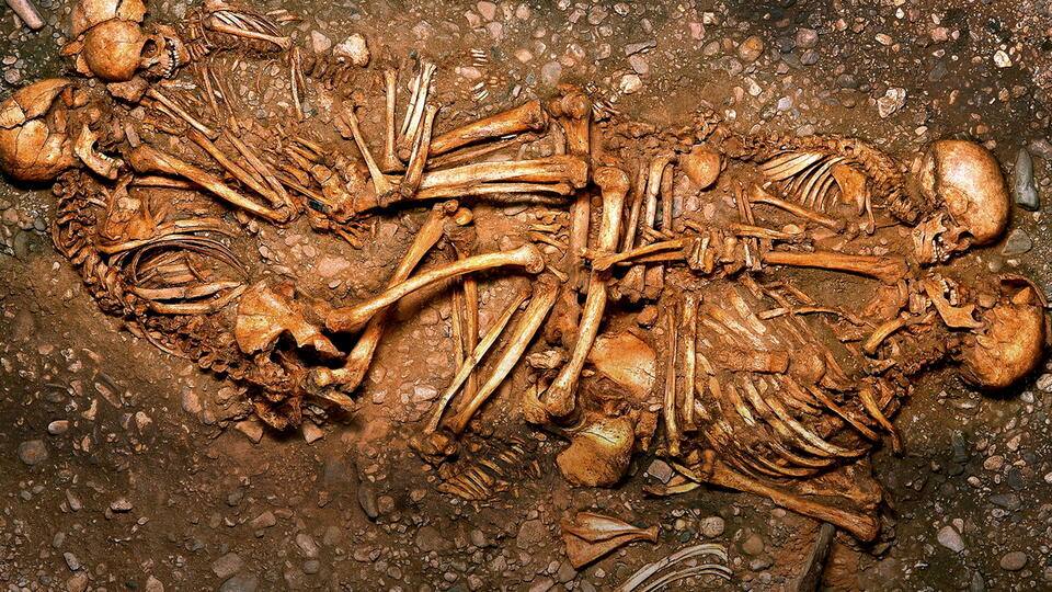 Terra X: Tatort Eulau: Das Rätsel der 13 Skelette