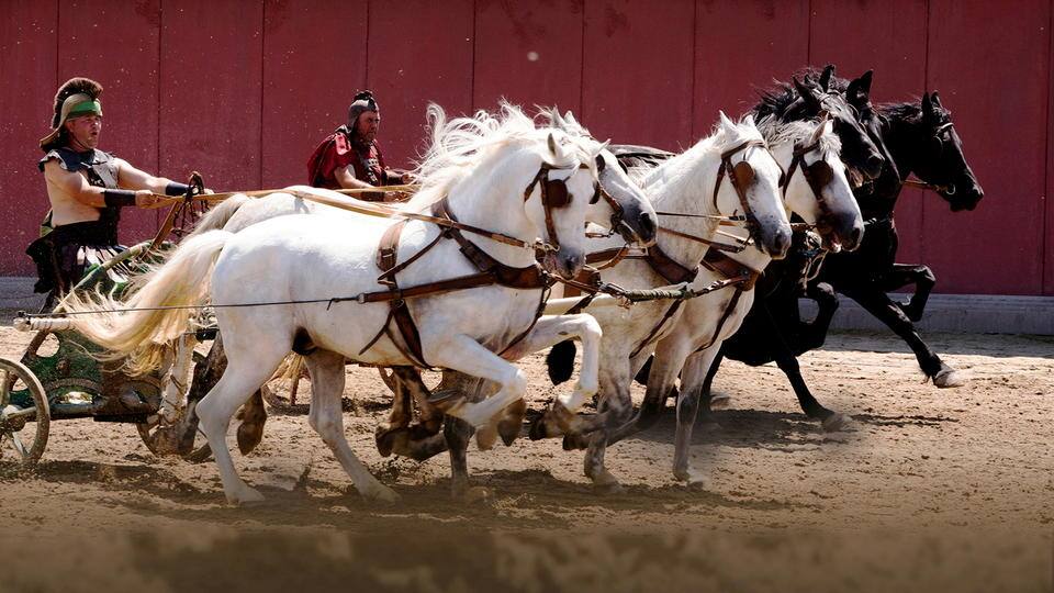 Terra X: Brot und Spiele - Wagenrennen im alten Rom