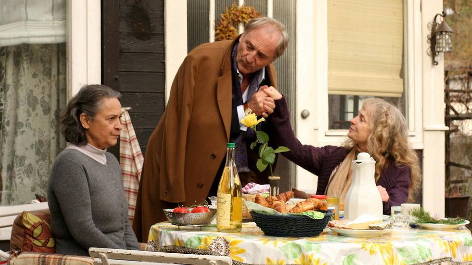 Ladylike - Jetzt erst recht!