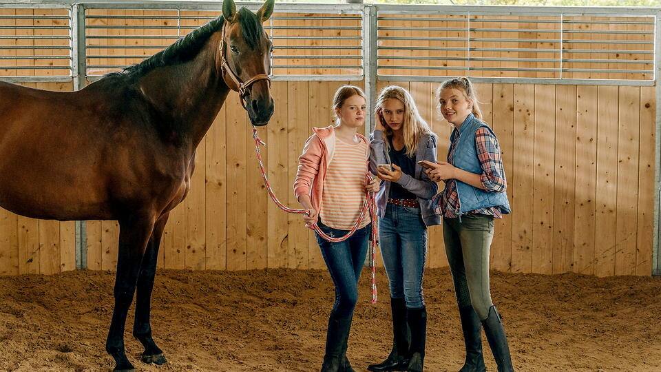 Reiterhof Wildenstein - Kampf um Jacomo