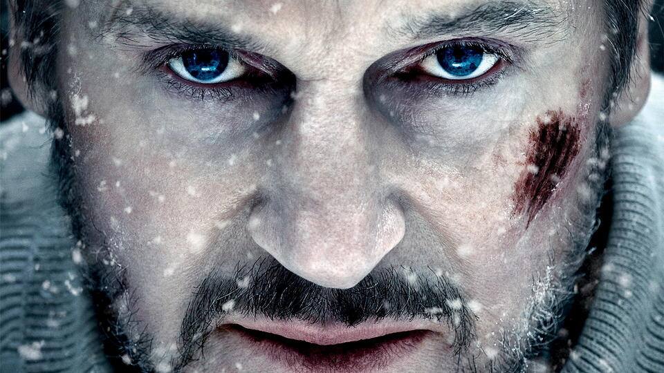 The Grey - Unter Wölfen