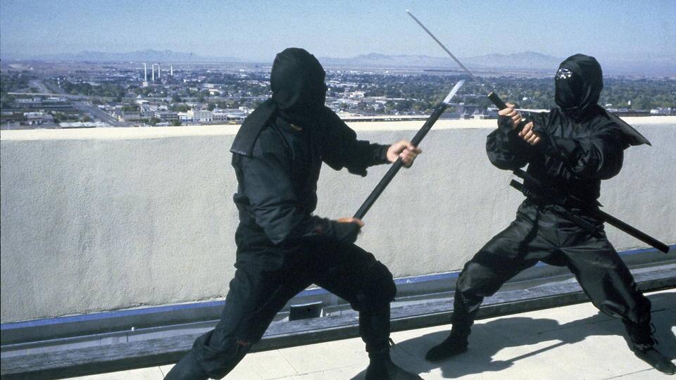 Die Rückkehr der Ninja
