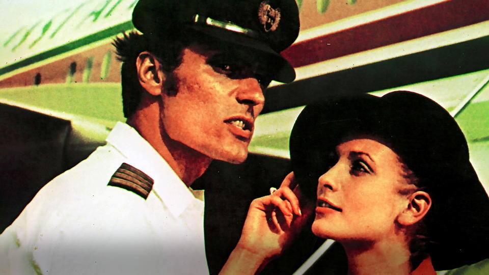 Ein Käfer geht aufs Ganze