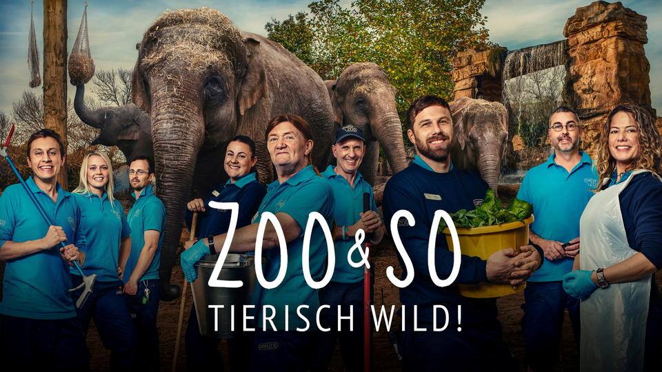 Zoo und so - Tierisch wild!