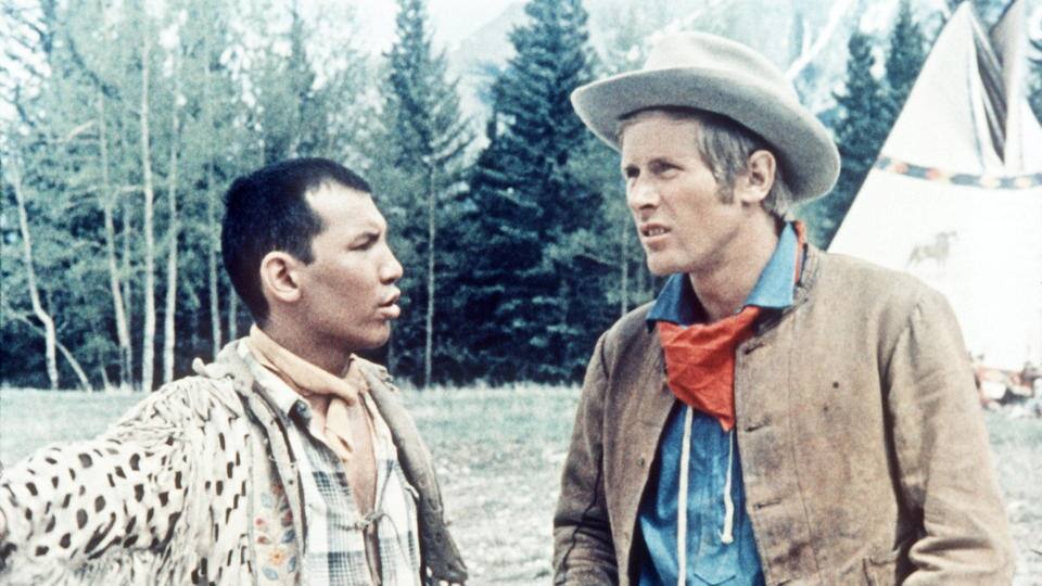 Der Ruf der Wildgänse