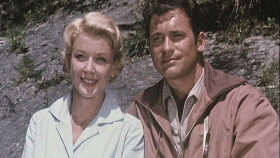 Wo die alten Wälder rauschen