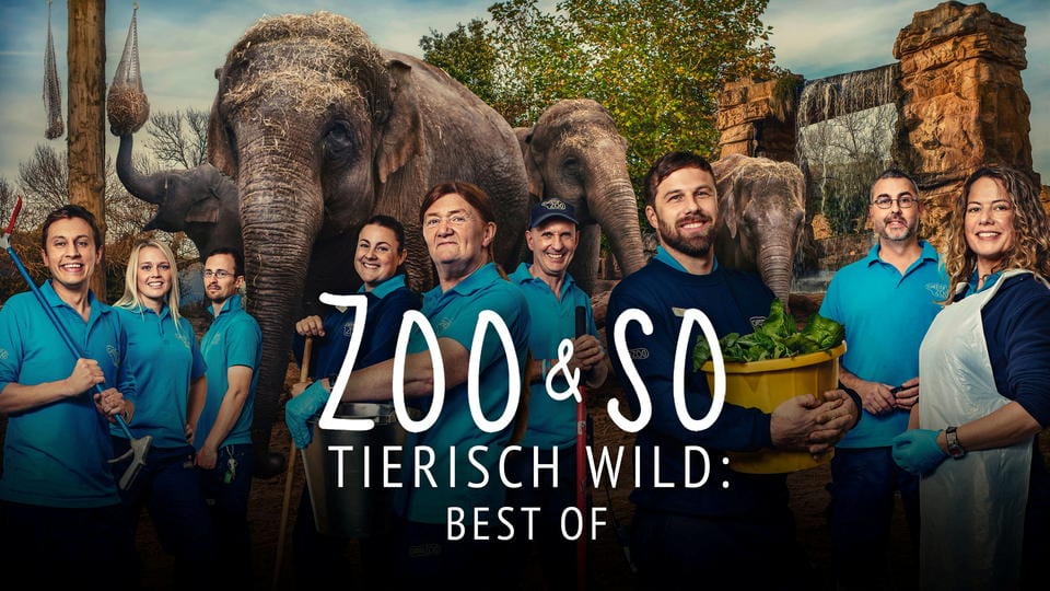 Zoo und so - Tierisch wild: Best of