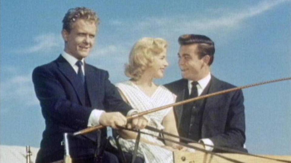 Was die Schwalbe sang