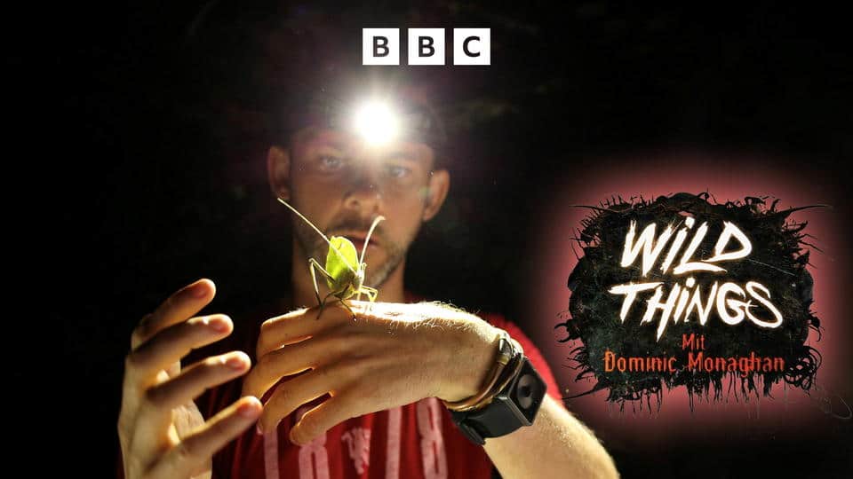 Wild Things mit Dominic Monaghan