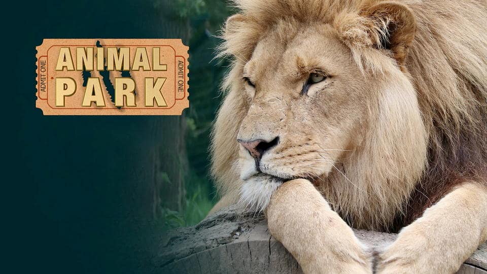 Animal Park: Zoo-Geschichten aus Longleat