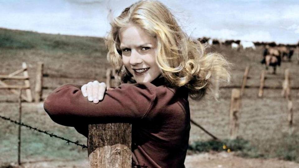 Hochzeit auf Immenhof