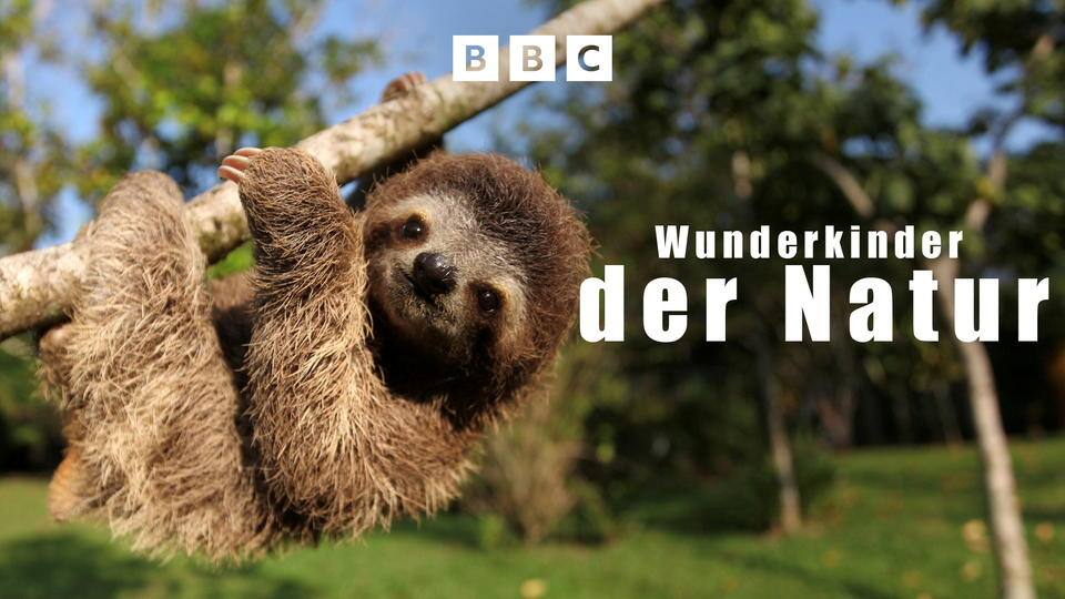 Wunderkinder der Natur