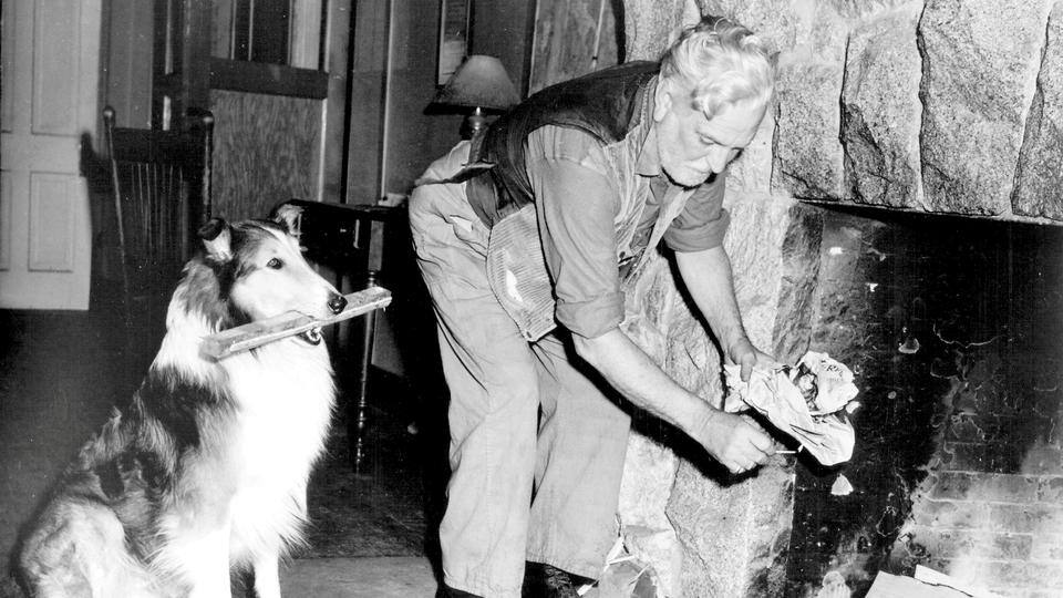 Lassie - Held auf vier Pfoten