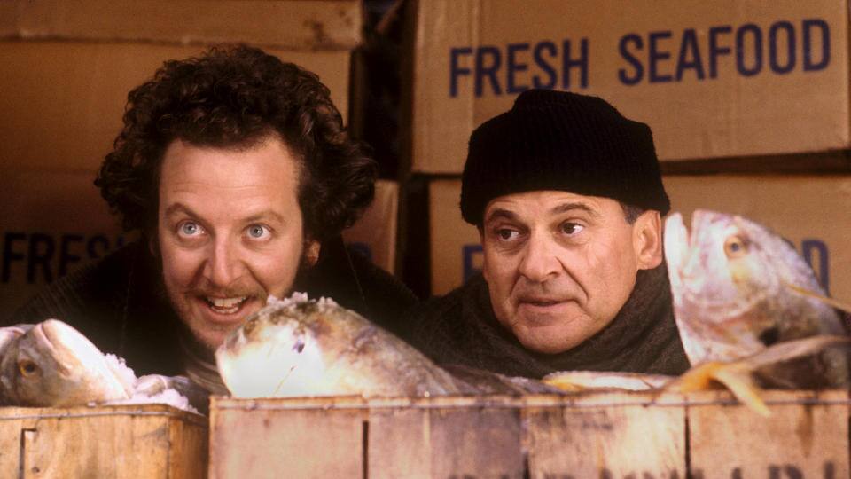 Kevin - Allein in New York