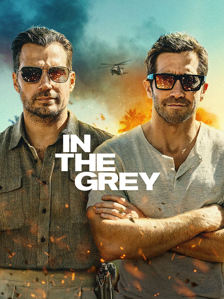 Titelbild zu In the Grey