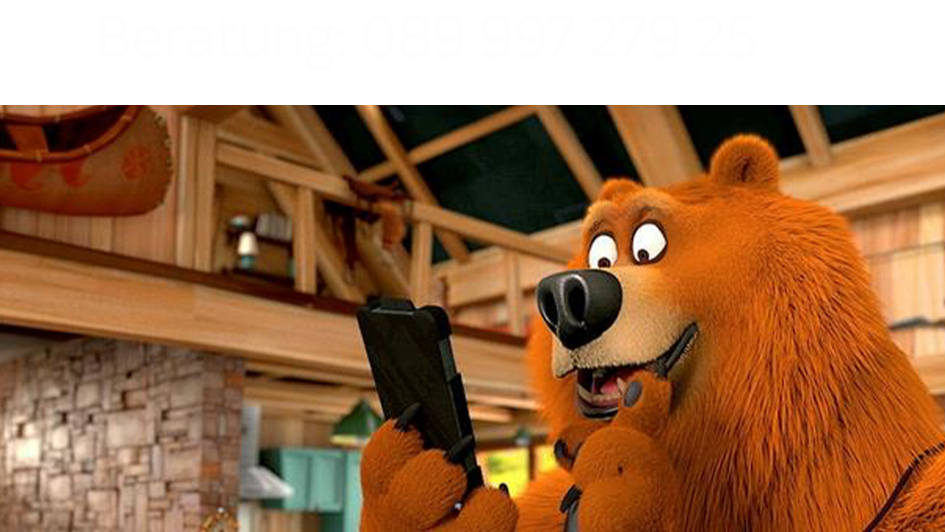 kontakt-telefon-whatsapp.png