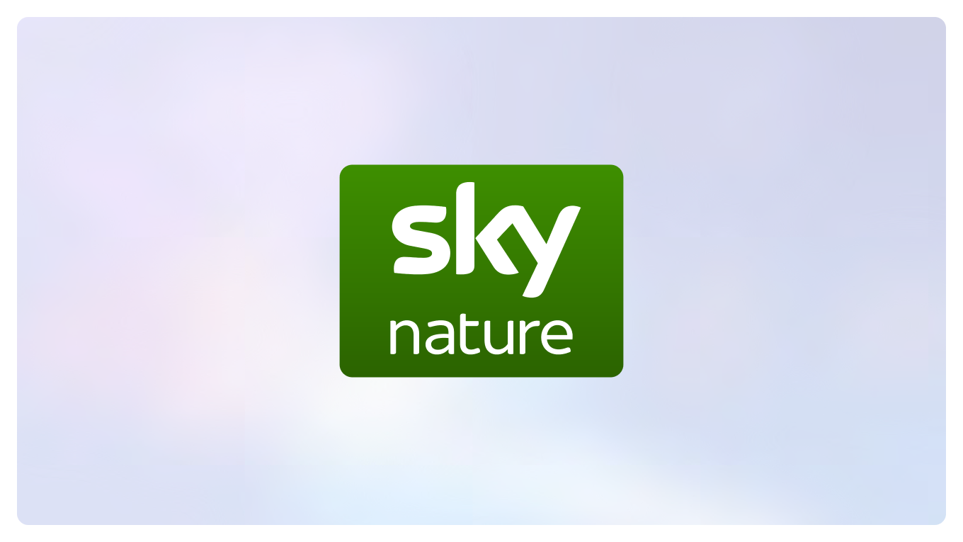 Sky Nature