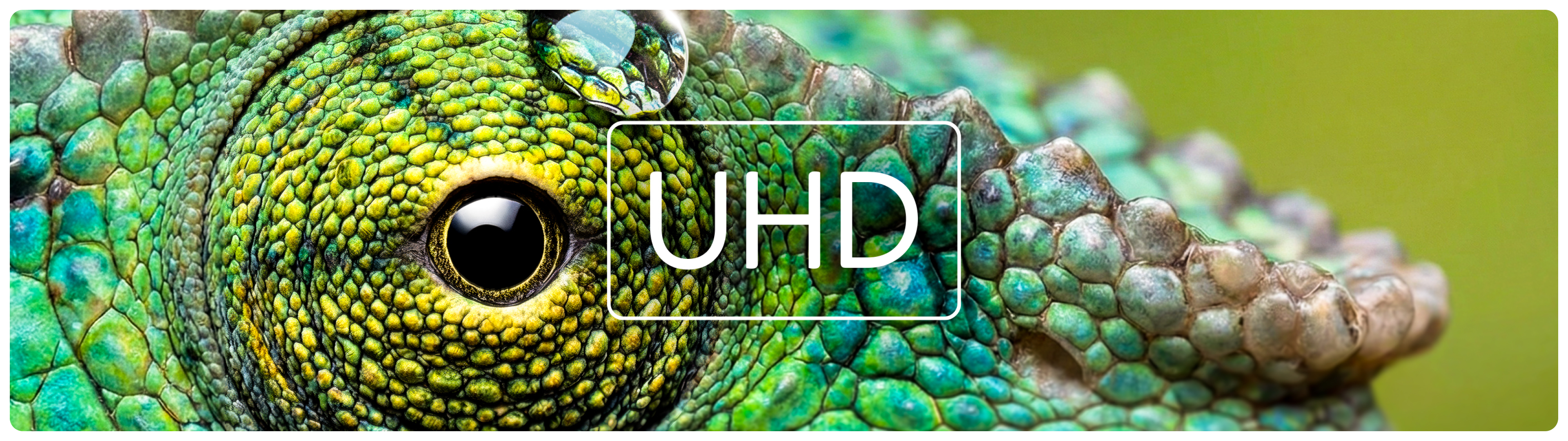 Ultra HD