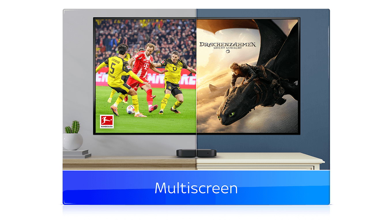 Sky Multiscreen