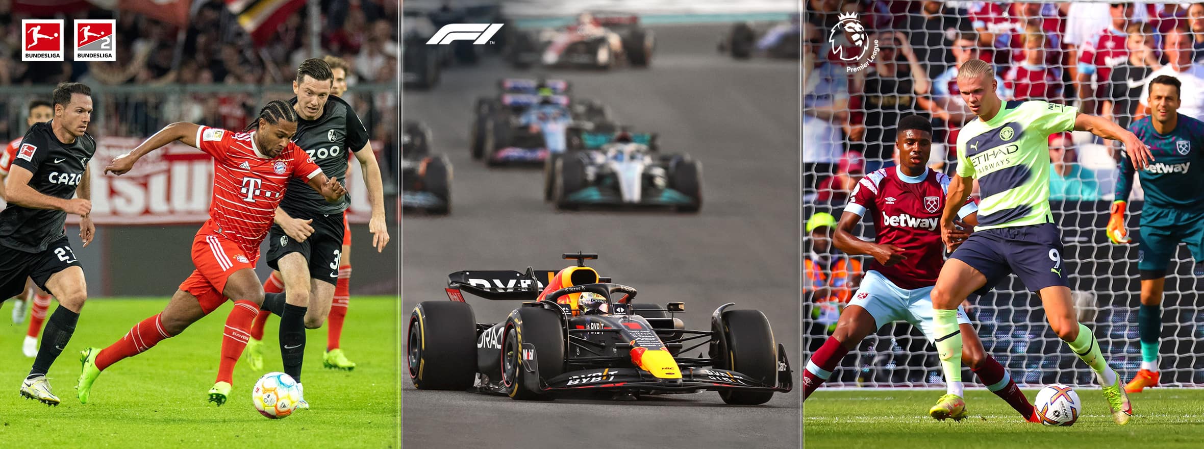 Die ganze Welt des Sports.