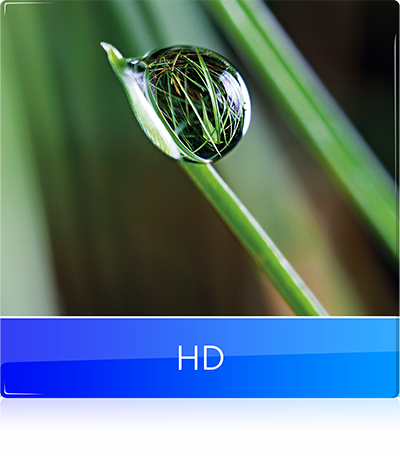 Sky HD (inkl. UHD)