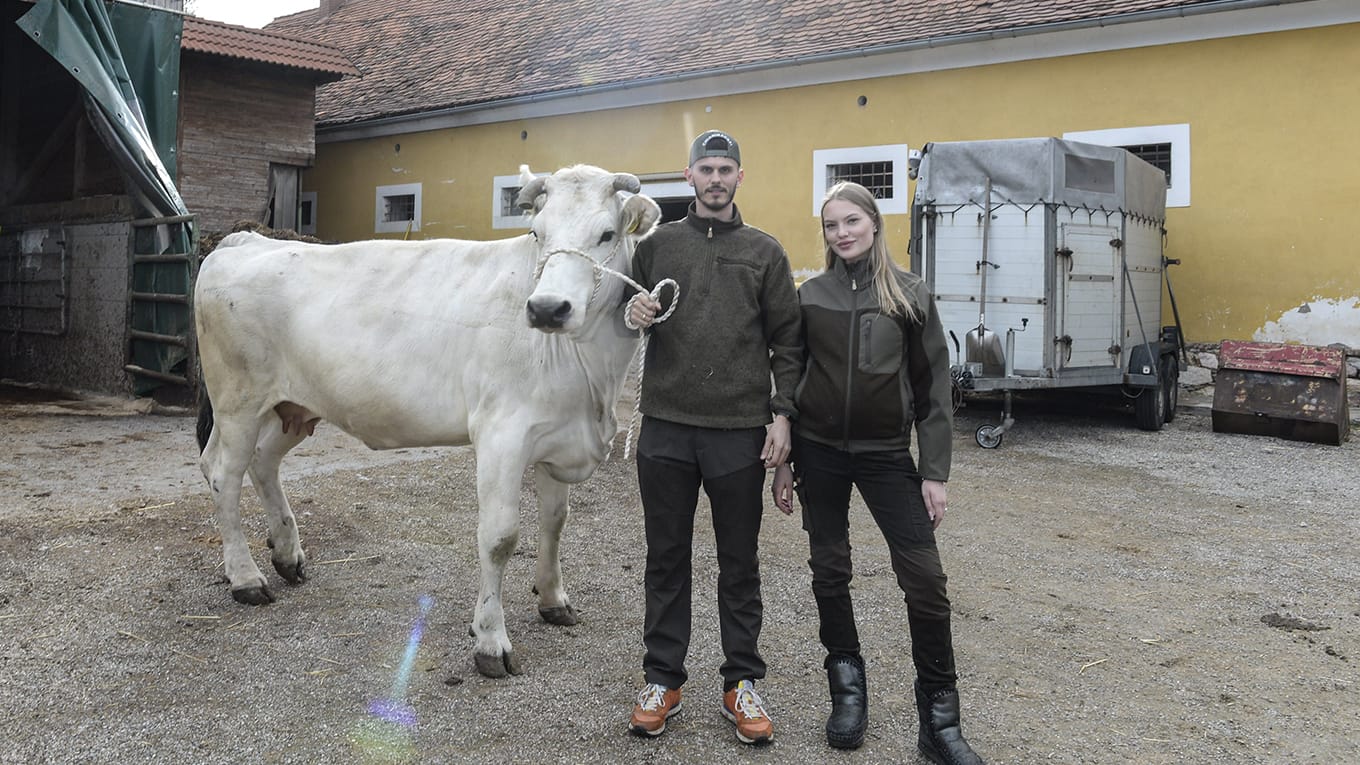 Cheyenne und Nino mit einem ihrer Chianina-Rinder