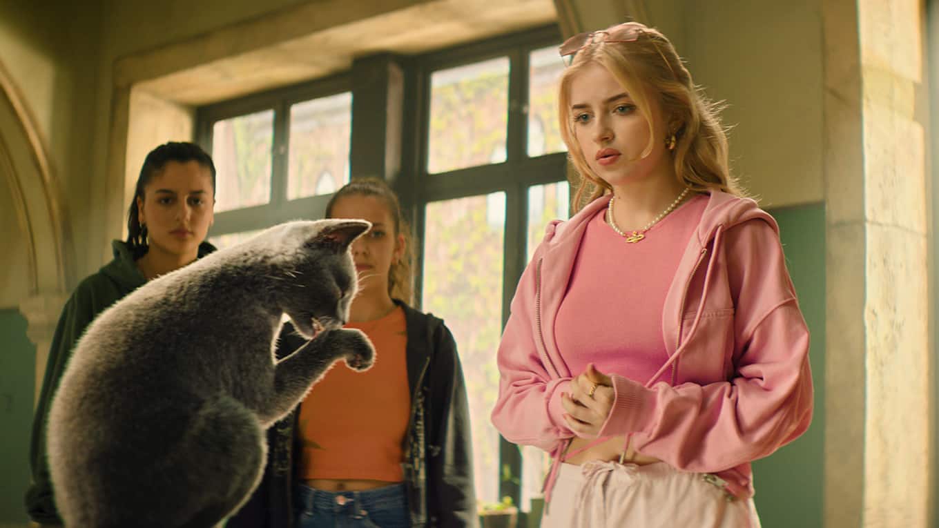 Szenenbild aus dem dritten Teil der Fantasy-Riehe Die Schule der magischen Tiere 3.