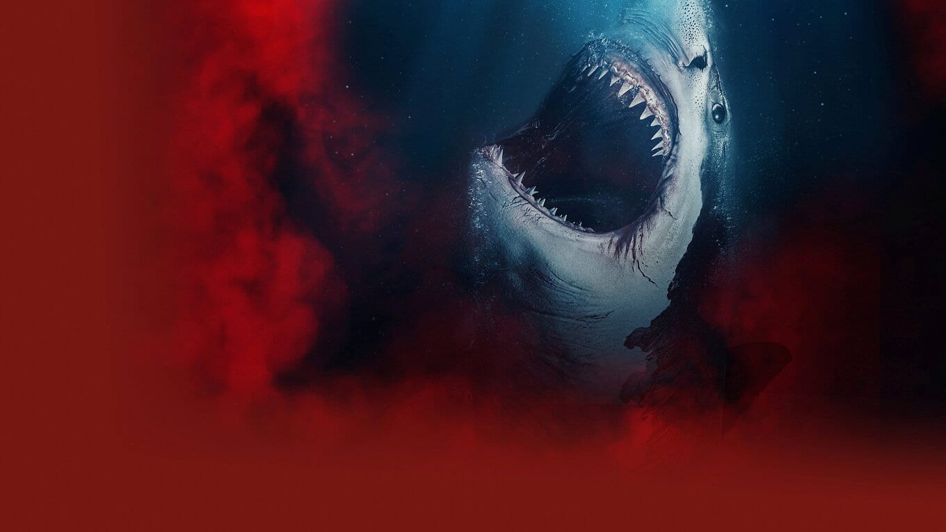 The Requin Der Hai Jetzt streamen Sky