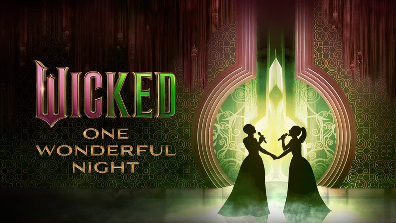 Wicked - One Wonderful Night