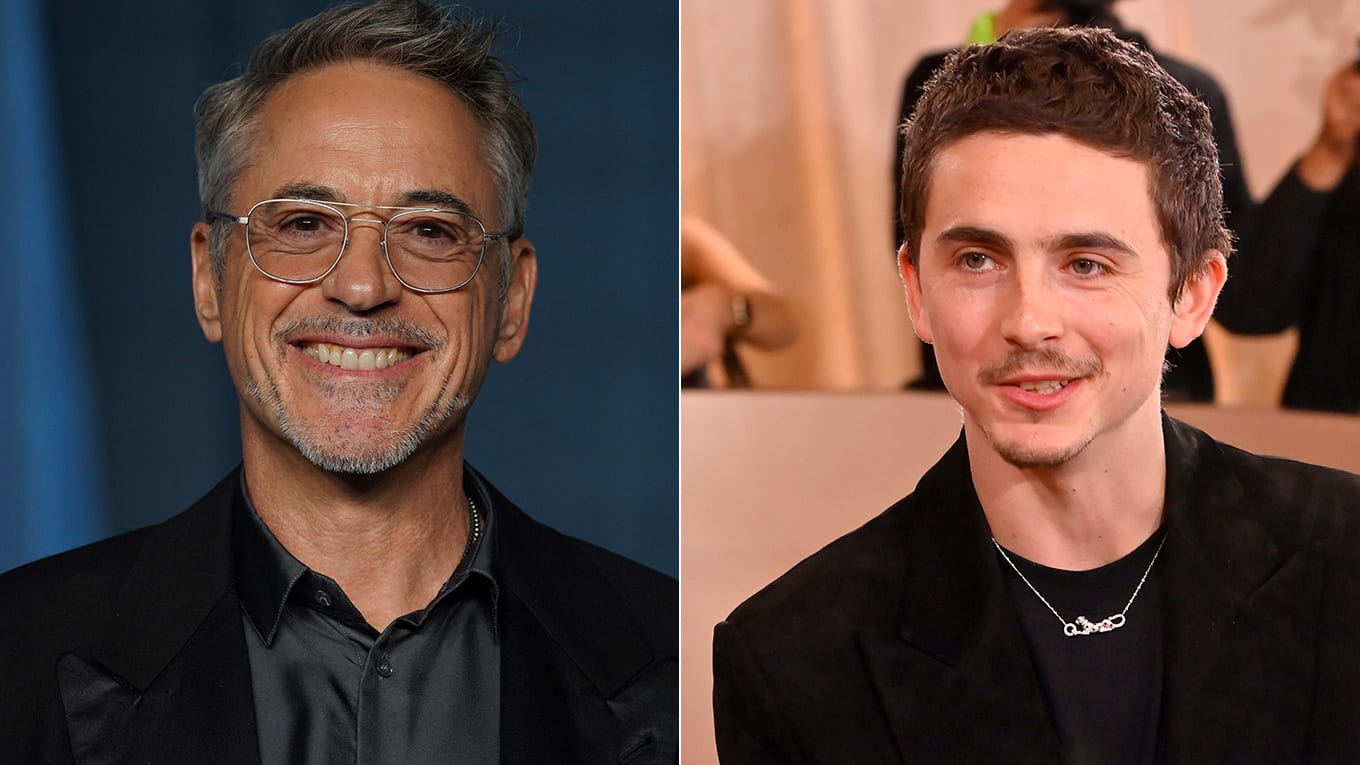 Robert Downey Jr. und Timothee Chalamet