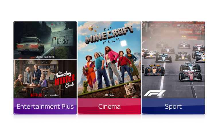 Filme, Serien inkl. Netflix und Sport