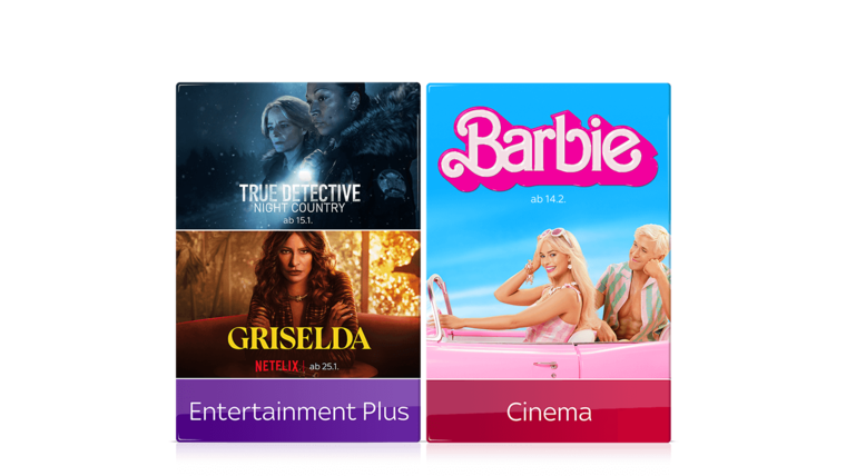 Filme und Serien inkl. Netflix 