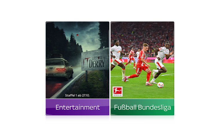 Bundesliga und 2. Bundesliga