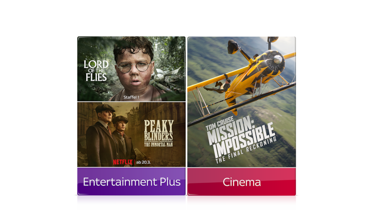 Filme und Serien inkl. Netflix 